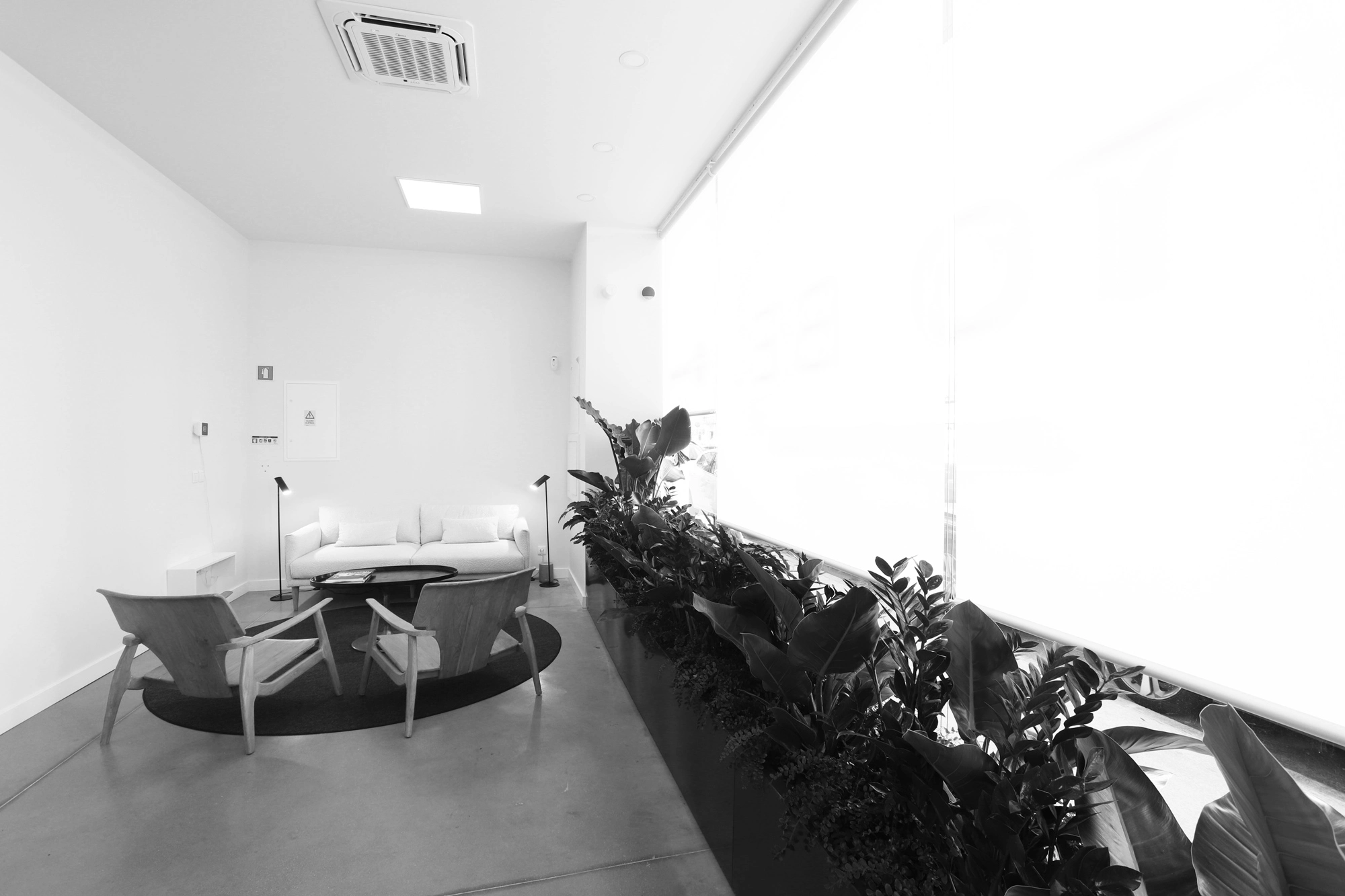 clinica-teresa-branco-rececao-2